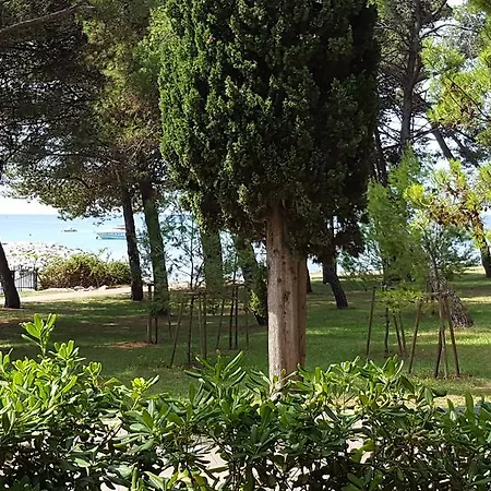 Oriella Aparmtents Πανσιόν 3*